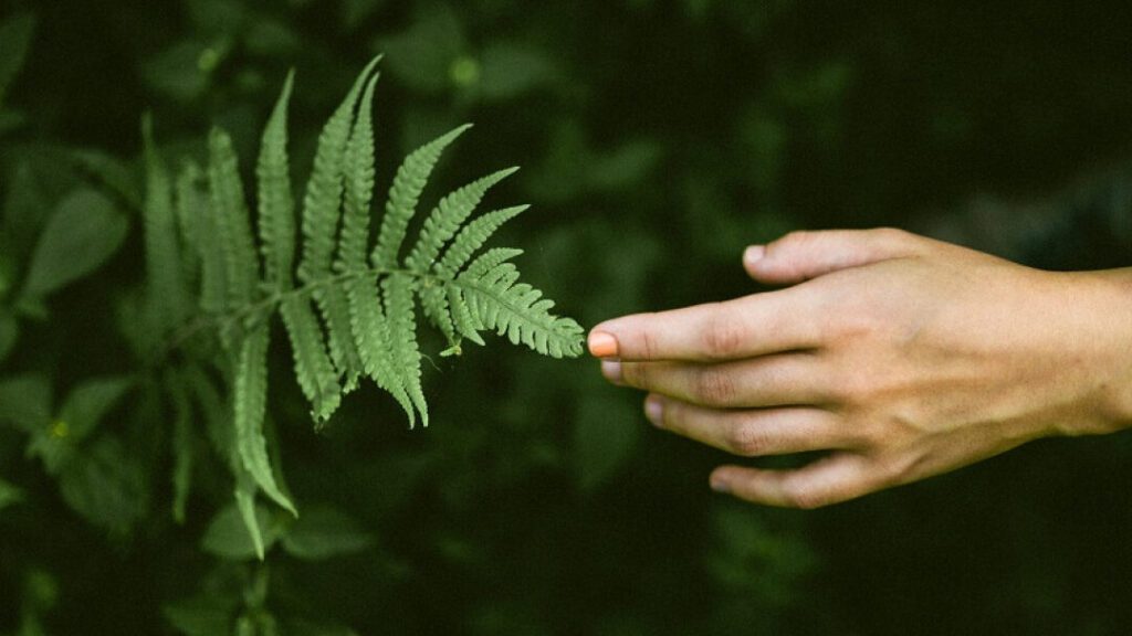 10 frases de Rilke que te inspirarán a vivir intensamente