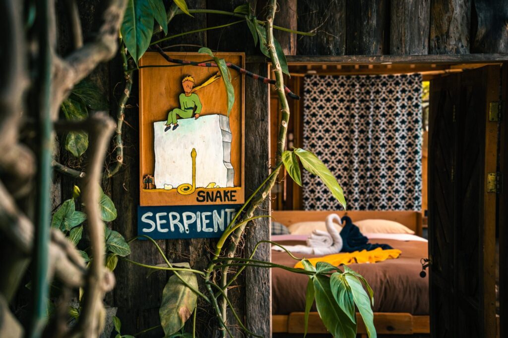 Qué mensaje quiso dar el autor del principito