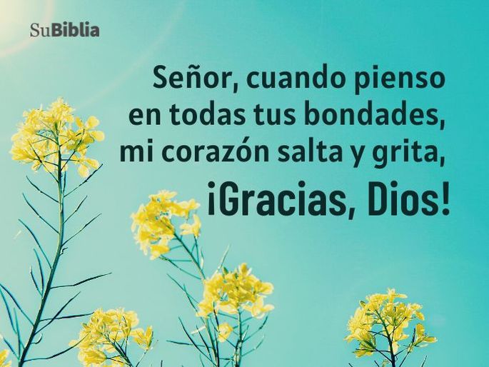 Qué palabras usar para agradecer a Dios 3 Qué palabras usar para agradecer a Dios