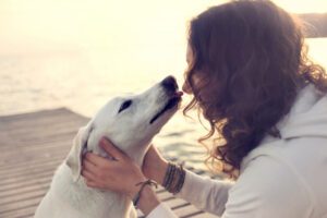 Qué mensaje nos deja la película La razon de estar contigo 2 antrozoologia el vinculo entre humanos y animales