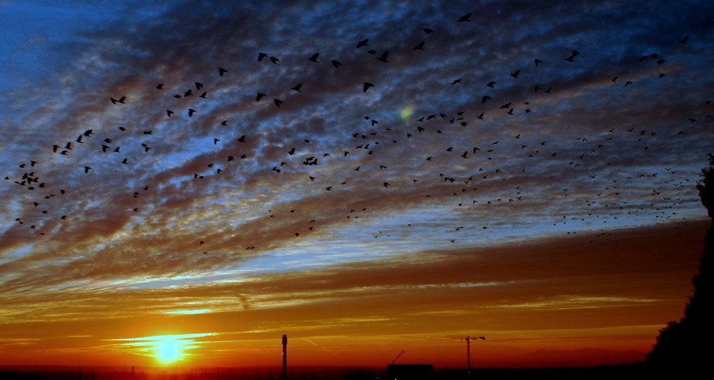 Qué nos puede transmitir un poema: Emociones y reflexiones 4 Qué nos puede transmitir un poema: Emociones y reflexiones