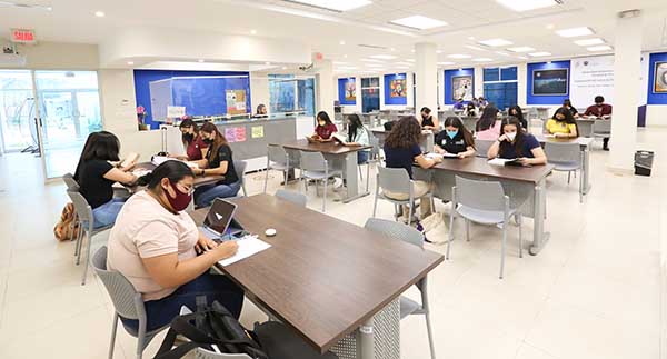 Cuántos años tarda la carrera Psicología 8 biblioteca facultad de psicologia uanl 2022