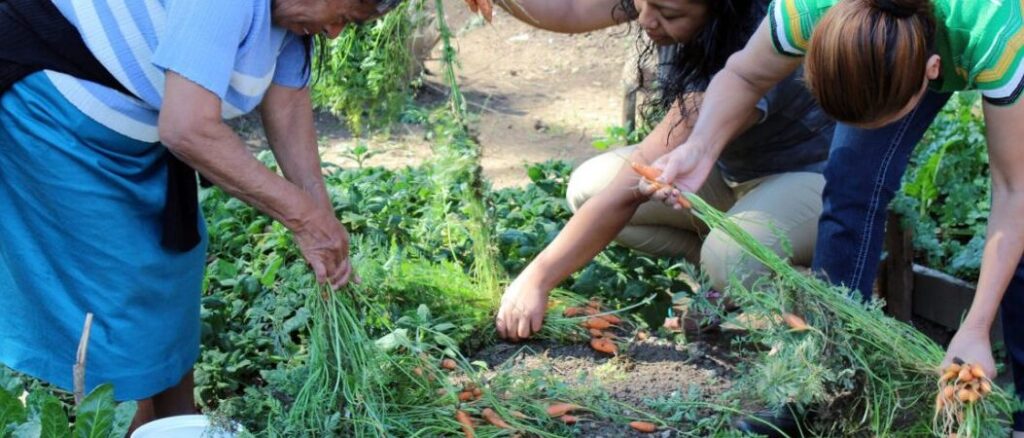 Cosechando sabiduría: frases de agricultura 7 Cosechando sabiduría: frases de agricultura