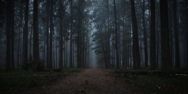 Qué cuentos de terror cortos debes leer esta noche