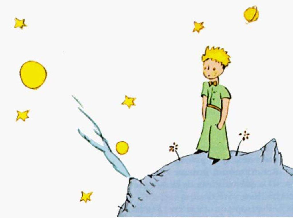 El Zorro y el Principito: La Responsabilidad de Domesticar 7 El Zorro y el Principito: La Responsabilidad de Domesticar