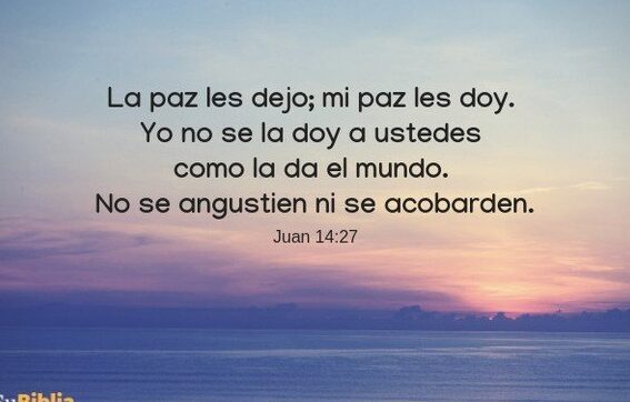 encuentra paz en momentos dificiles con estas frases de consuelo