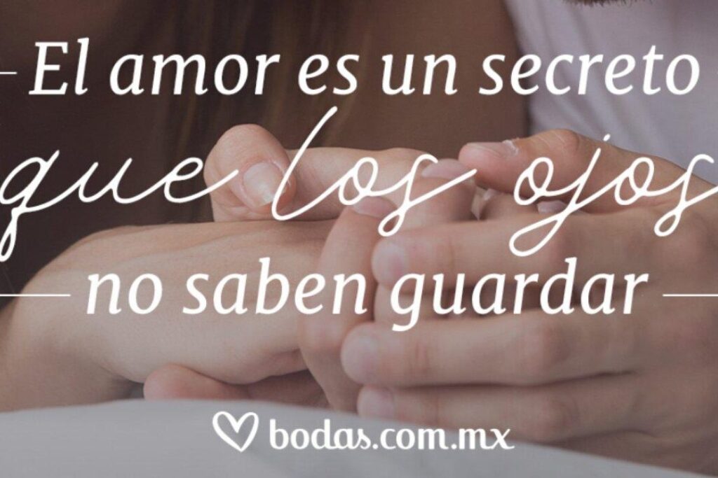 Expresa tu amor con estas conmovedoras frases de te quiero