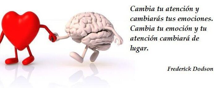 Frases de inteligencia emocional: aprende a manejar tus emociones con sabiduría 6 Frases de inteligencia emocional: aprende a manejar tus emociones con sabiduría