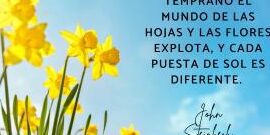 frases de mayo inspiracion y frescura para recibir la primavera