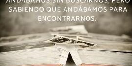 Frases de momentos inolvidables: captura tus recuerdos en palabras 3 Frases de momentos inolvidables: captura tus recuerdos en palabras