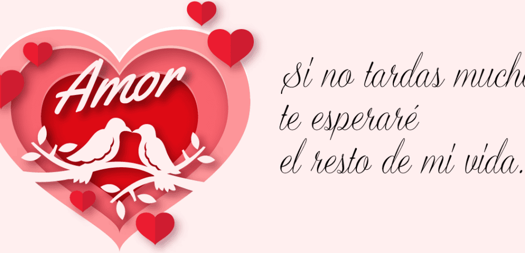 gracias por todo frases de agradecimiento a mi novia en la distancia