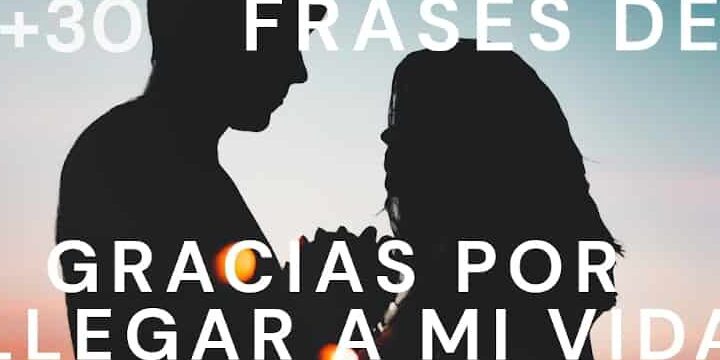 Gracias por todo mi amor: Un cuento de agradecimiento y amor verdadero.