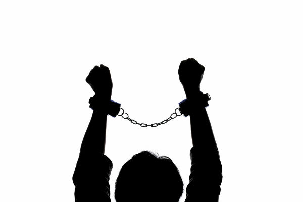 Que nos enseña el valor de la libertad 4 Que nos enseña el valor de la libertad