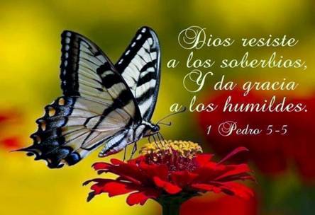 Qué dice Dios de los orgullosos según la Biblia 9 Qué dice Dios de los orgullosos según la Biblia