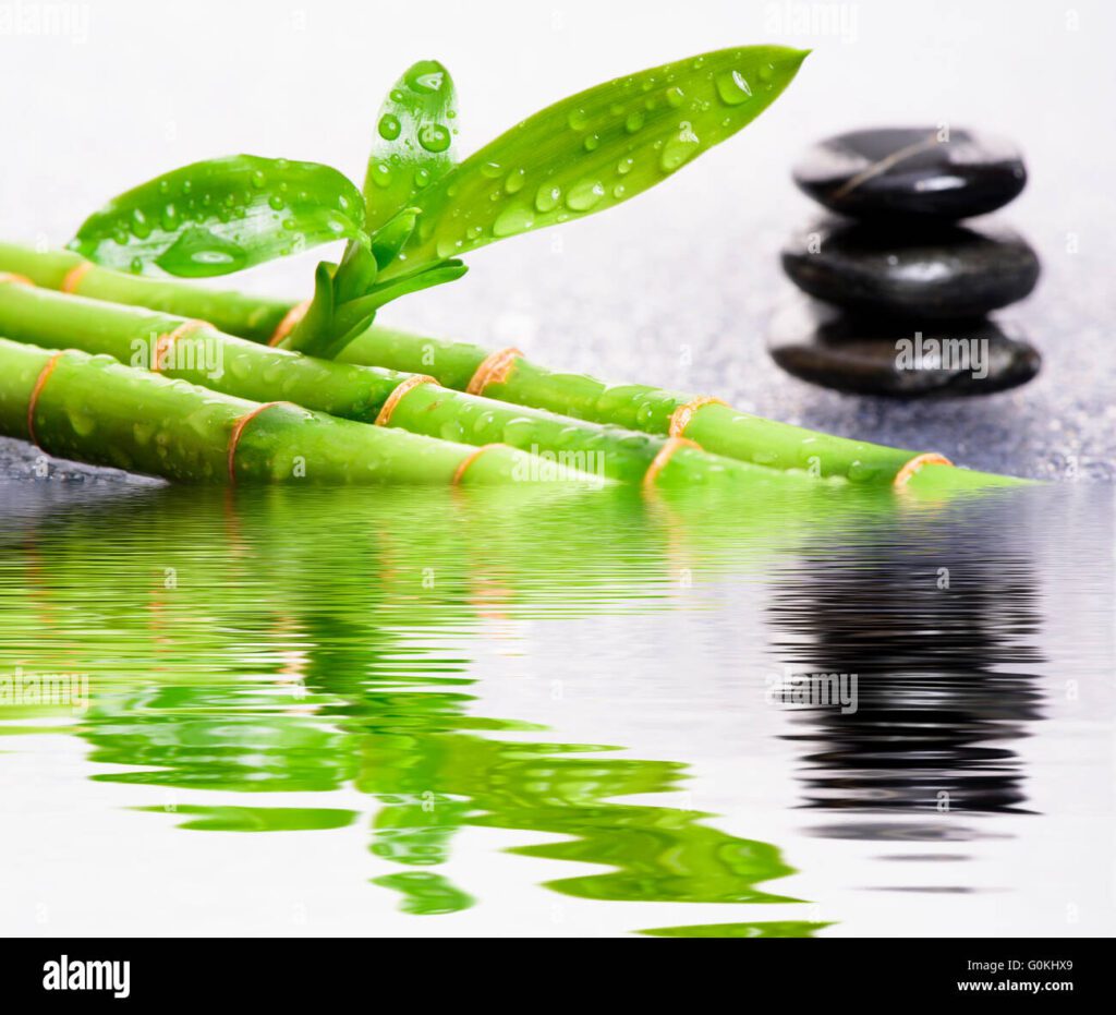 jardin zen con mirroring y reflejo en el agua g0khx9