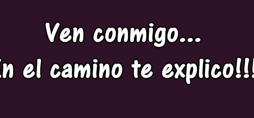 la locura de las frases para facebook un cuento divertido y sorprendente
