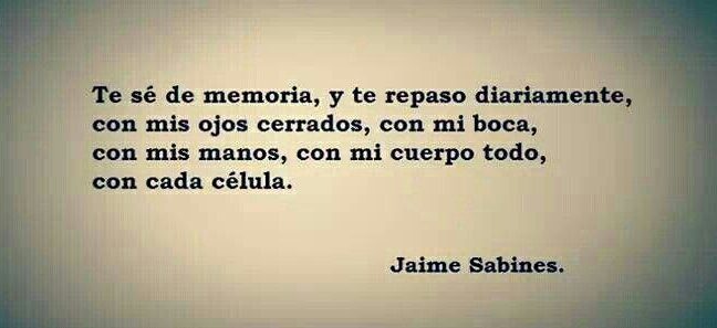las mejores frases de calderon de la barca reflexiones que perduran en el tiempo 1