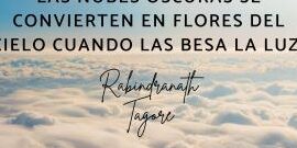 Las mejores frases de Erasmo de Rotterdam para inspirarte hoy mismo 3 las mejores frases de erasmo de rotterdam para inspirarte hoy mismo