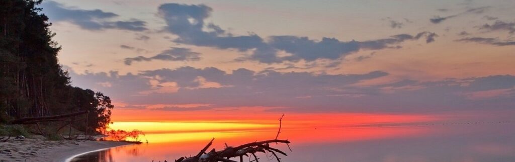 las mejores frases de hemingway que te inspiraran a vivir intensamente 1