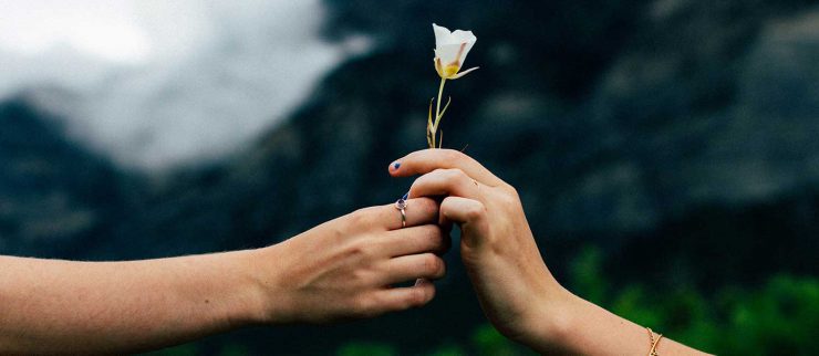 Cómo Pedir Perdón: Frases Bonitas para Reconciliarte 3 Cómo Pedir Perdón: Frases Bonitas para Reconciliarte