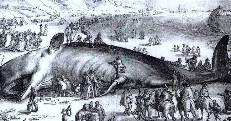 Descubre la cautivadora trama de El único e incomparable Iván" 6 Descubre la cautivadora trama de El único e incomparable Iván»