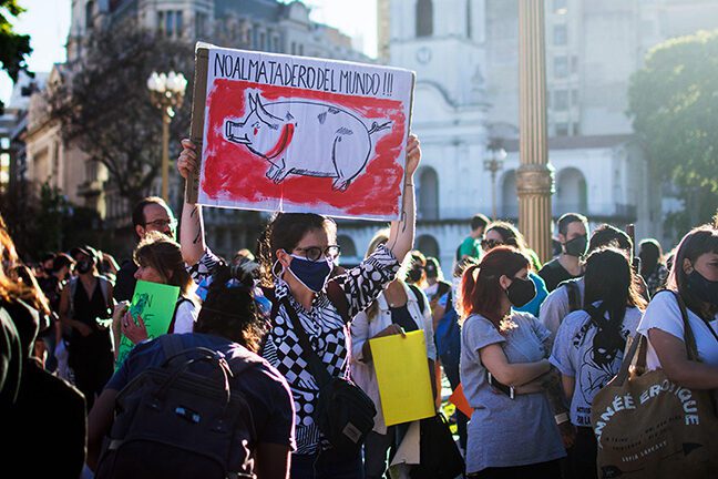 El poderoso mensaje detrás de la remera de Greenpeace en una chica 5 El poderoso mensaje detrás de la remera de Greenpeace en una chica