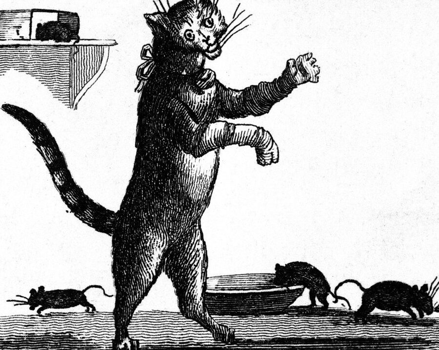 El significado del refrán gato con guantes no caza ratones" 4 El significado del refrán gato con guantes no caza ratones»