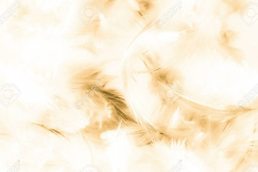 una imagen abstracta de una pluma y un papel en blanco