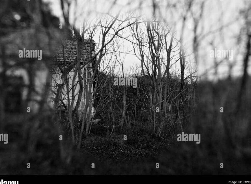 Preservando nuestra historia: mantén vivo el legado a través del tiempo 3 Preservando nuestra historia: mantén vivo el legado a través del tiempo