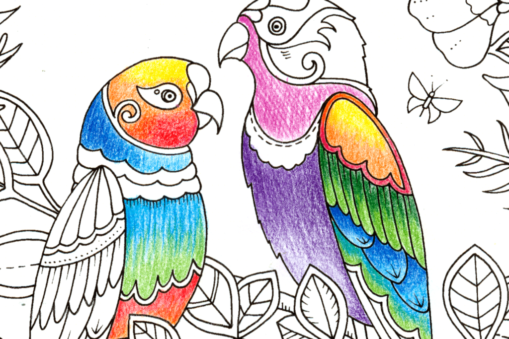 una imagen colorida de varios dibujos para colorear como lapices de colores hojas de papel y dibujos infantiles