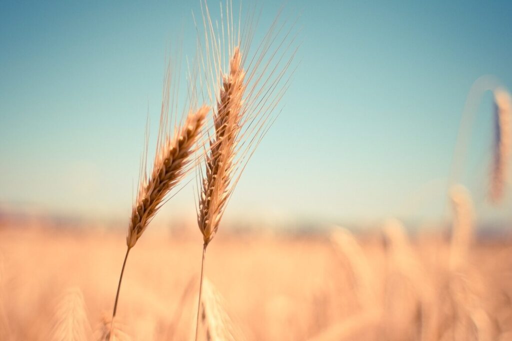 Las mejores frases de pureza del alma: inspiración y reflexión 8 Las mejores frases de pureza del alma: inspiración y reflexión