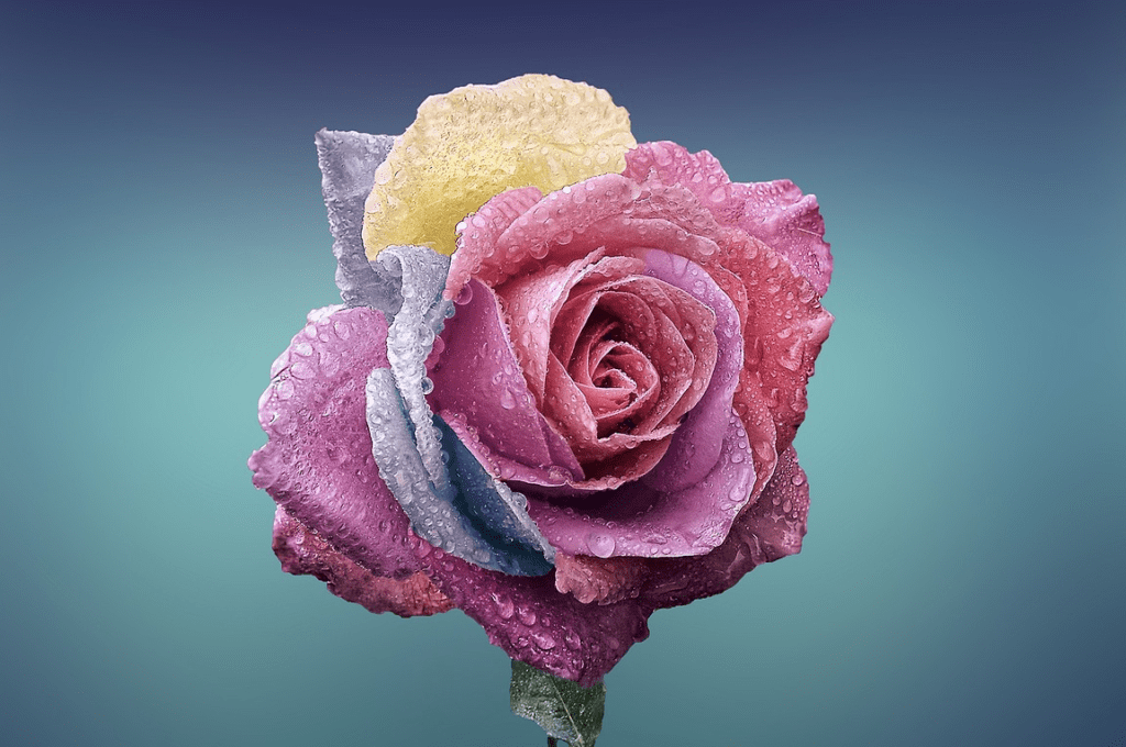 Guía práctica para transmitir condolencias por la pérdida de tu padre