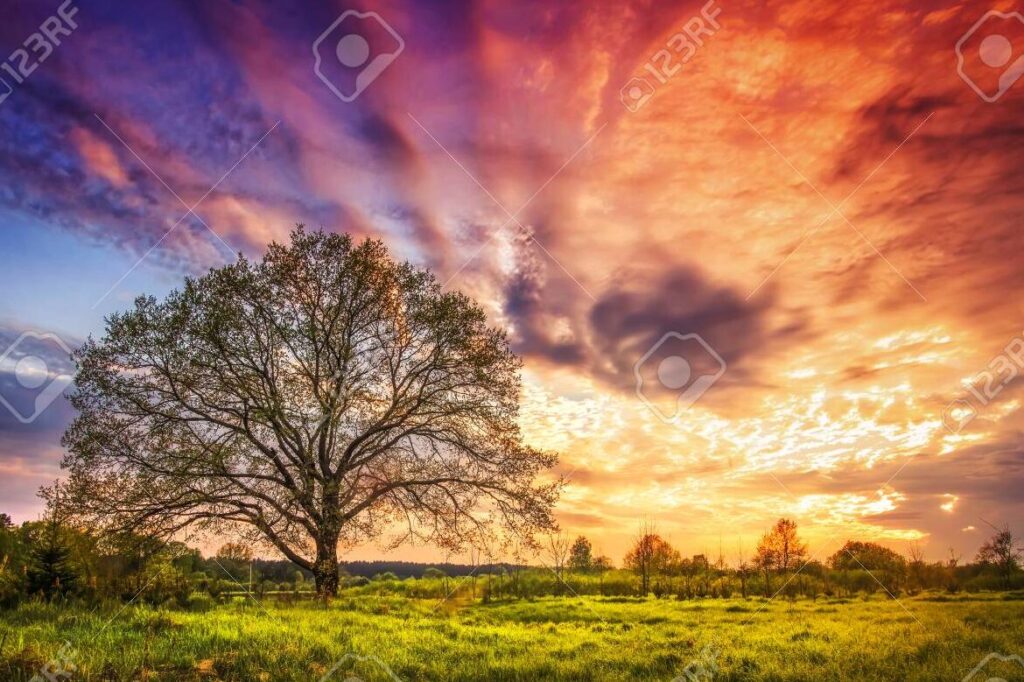 una imagen con un amanecer colorido y brillante sobre un paisaje natural