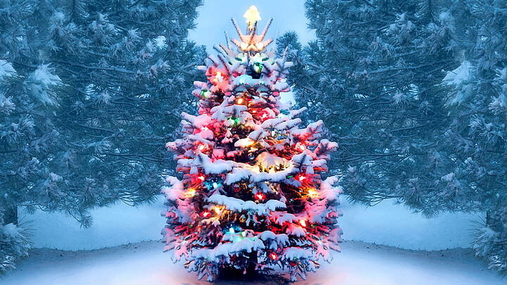 una imagen con un fondo invernal y elementos navidenos como arboles cubiertos de nieve y luces brillantes