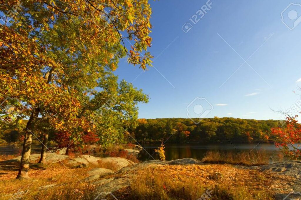 Frases inspiradoras para encontrar paz interior y alejarte del caos