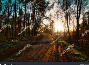 Las mejores frases motivacionales para cuando el camino es largo 2 una imagen con una carretera larga y sinuosa rodeada de naturaleza inspiradora