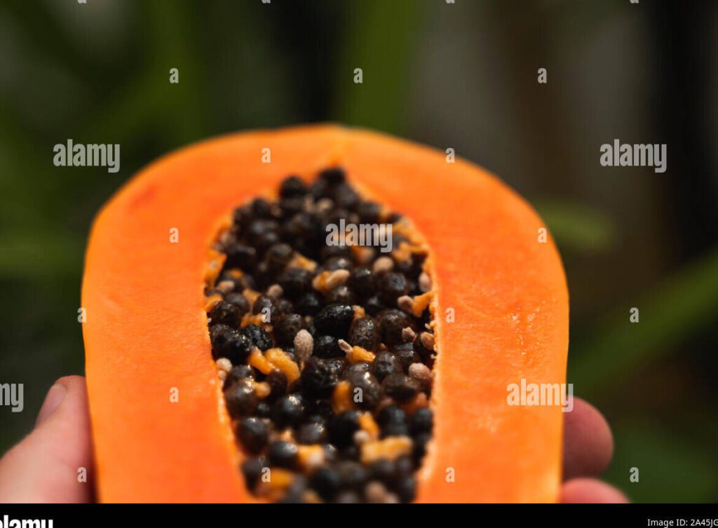 El poder de la siembra y el fruto: reflexiones sobre sembrar y cosechar