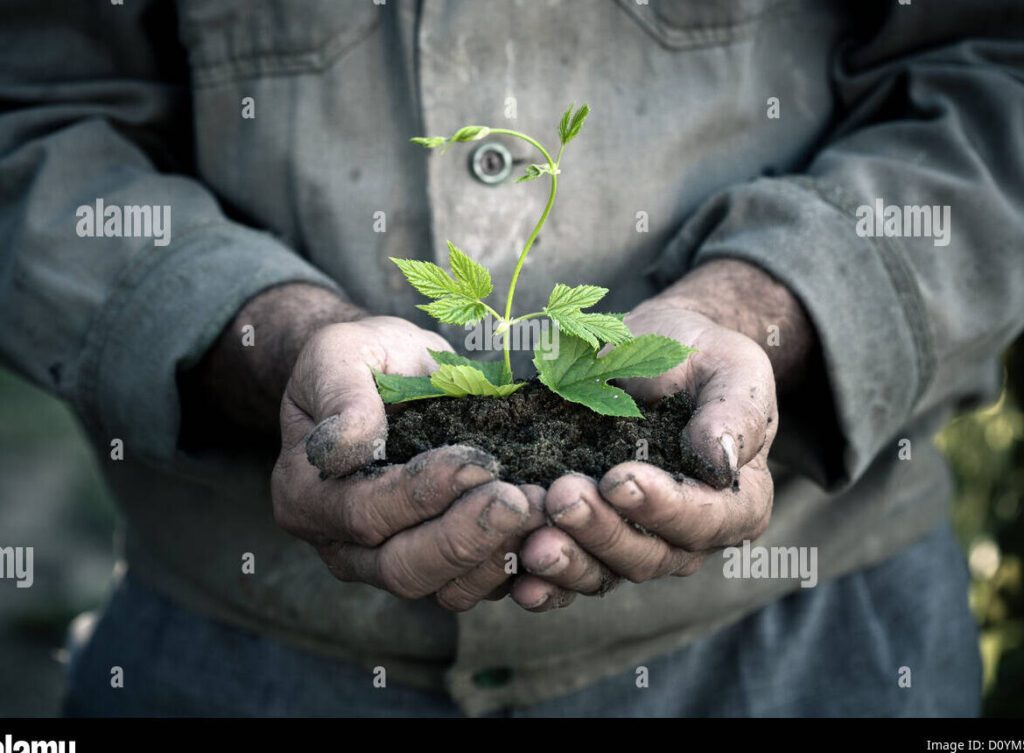 Dejar una huella positiva sin dañar: aprende cómo 5 Dejar una huella positiva sin dañar: aprende cómo