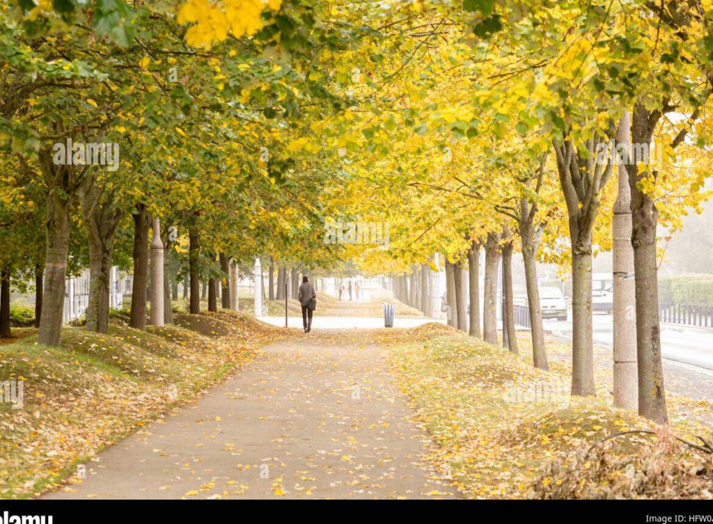 Los mejores poemas para inspirar y alcanzar tus metas 6 Los mejores poemas para inspirar y alcanzar tus metas