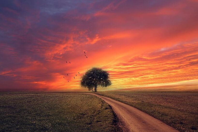 Abre tu corazón y transforma tu vida para siempre 8 Abre tu corazón y transforma tu vida para siempre