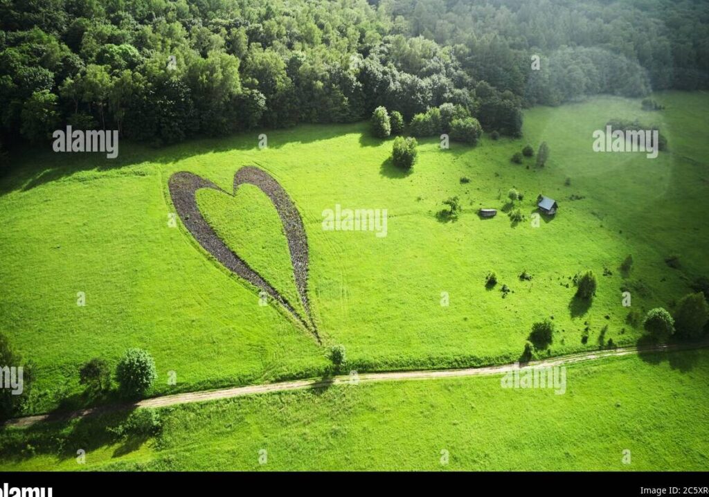 Importancia del Mensaje Central de Donde el Corazón te Lleve" en Nuestras Vidas" 3 Importancia del Mensaje Central de Donde el Corazón te Lleve» en Nuestras Vidas»