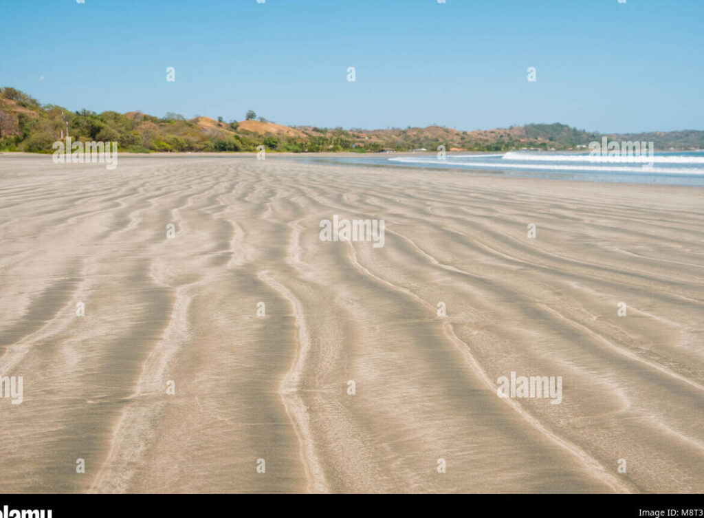 una imagen de un grano de arena en primer plano con un fondo borroso de paisajes naturales