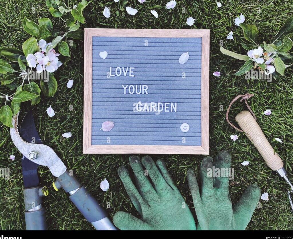 Embellece tus parques y jardines con estas increíbles frases inspiradoras