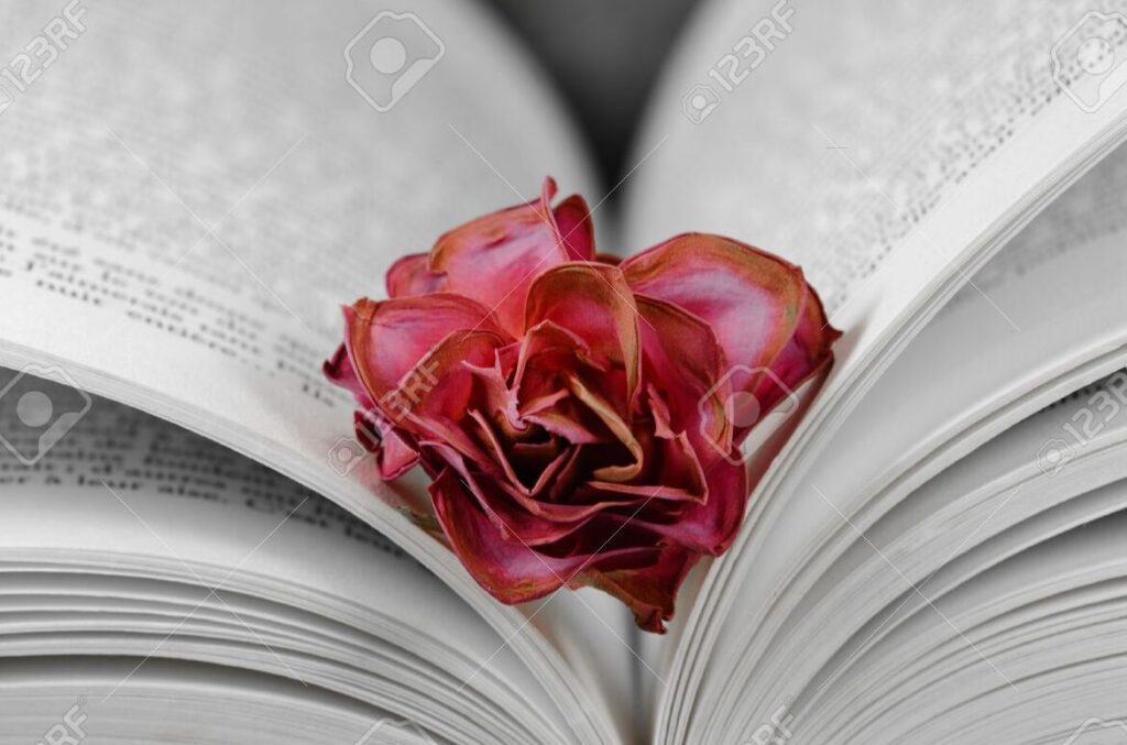 Lecciones de vida en También esto pasará" de Milena Busquets" 8 Lecciones de vida en También esto pasará» de Milena Busquets»