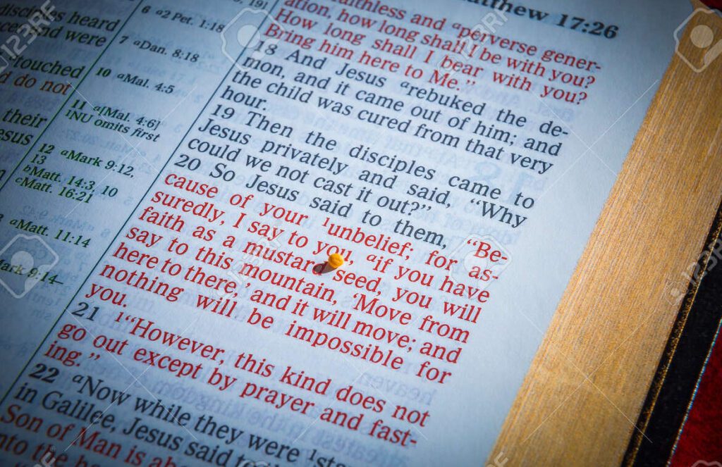 Opiniones impactantes de lectores sobre Lazos de Amor» de Brian Weiss»