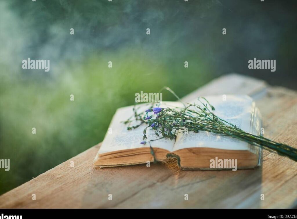 Vida y literatura en Yo no vengo a decir un discurso»