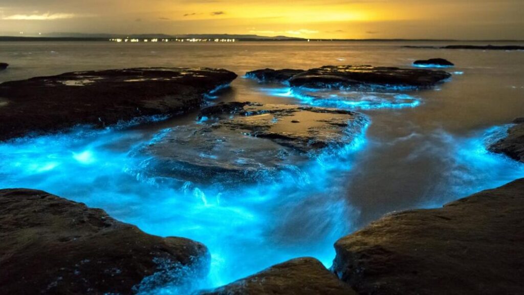 Metáfora acuática en La luz es como el agua": Descifrando García Márquez" 7 Metáfora acuática en La luz es como el agua»: Descifrando García Márquez»