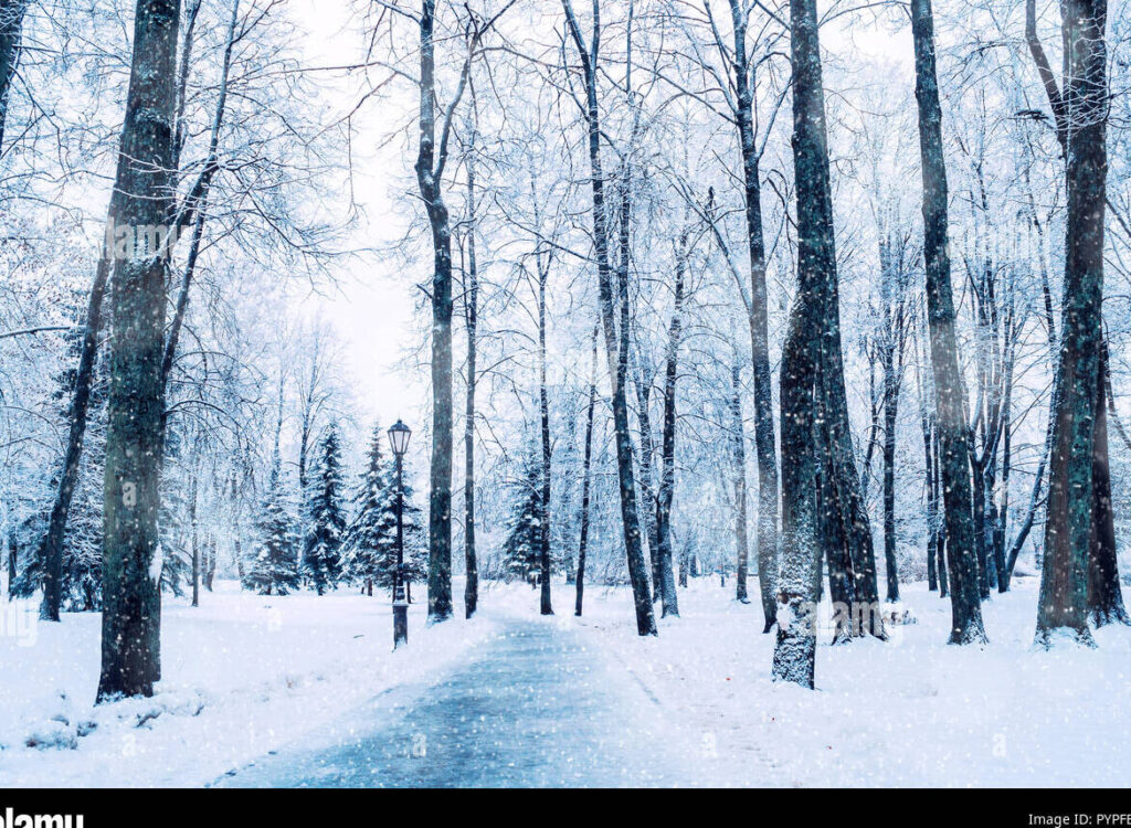 una imagen de un paisaje invernal con tonos frios y nevados