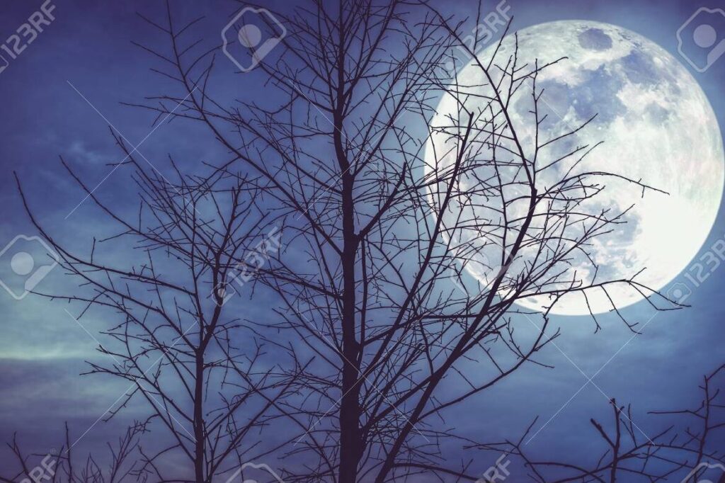 La desaparición de las sombras nocturnas: causas y misterios 5 La desaparición de las sombras nocturnas: causas y misterios