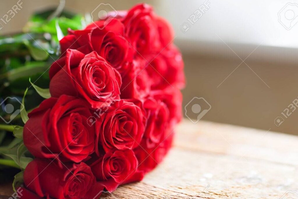 Descubre el mejor poema de amor para acompañar tus rosas rojas